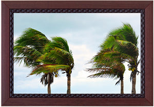 Hanging pictures at a windy time of year – Picture Hanging Systems Pty Ltd